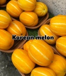 금강과일상점