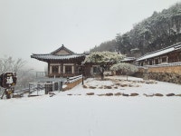 카페통