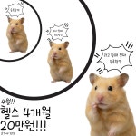 뉴웨이브 피트니스 오산세교점