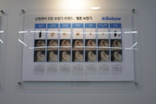 일등보청기