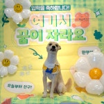 멍토피아 유치원