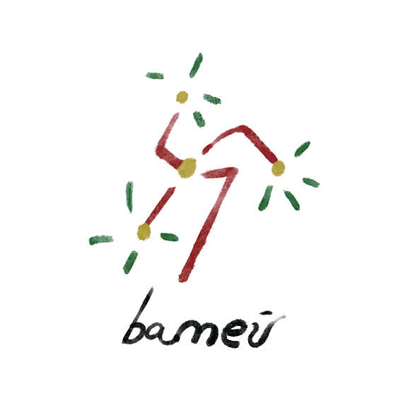 바므 사진