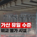솔트스포츠 헬스&PT 가산