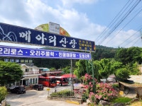 메아리산장