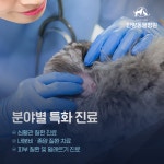 안양동물병원