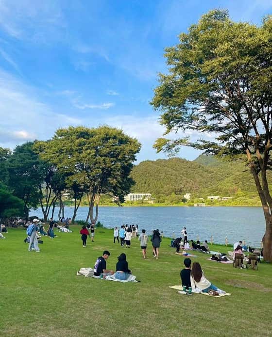 브리끄 사진