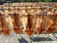 대흥수산