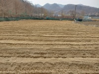 달빛주말농장