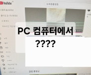 뉴욕동물병원