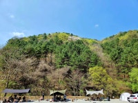 홍천도새울캠핑장