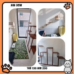 함께냥 대전점