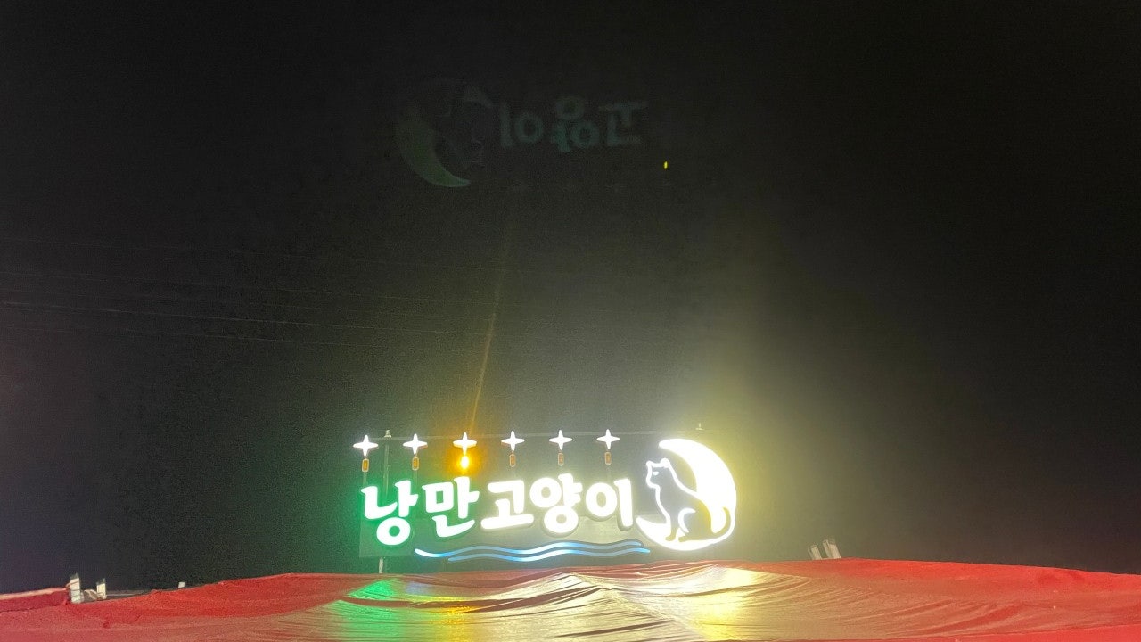 낭만고양이