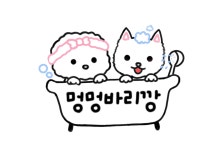 멍멍바리깡