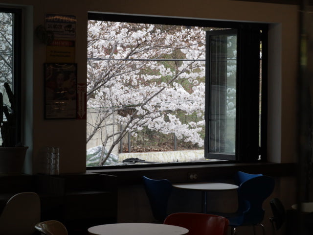 블루마일스커피로스터스