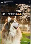 카페사개 동탄반월점