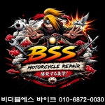 비더블에스 컴퍼니