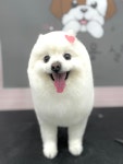 멍실묭실