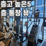 핏토짐