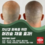 에프앤디
