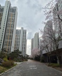 삼성공인중개사사무소
