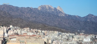 단지내월드공인중개사사무소