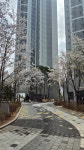 칸타빌단지내공인중개사사무소