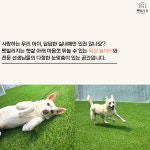 펫빌리지 애견유치원&애견호텔