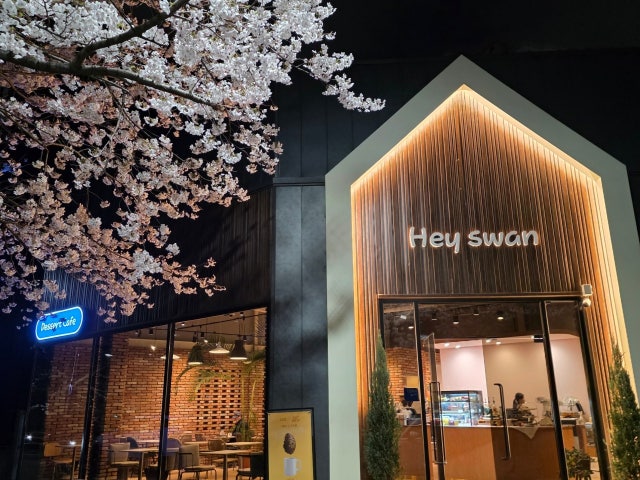 헤이스완
