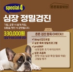 튼튼동물병원