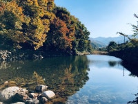레인보우 관광농원 캠핑장