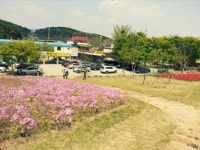 경산식당