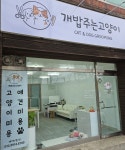 개밥주는고양이