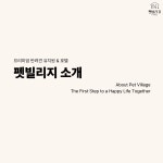 펫빌리지 애견유치원&애견호텔