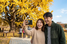 원주민박협의회