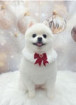 올리스24 일산백석점