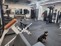 짐자반 헬스PT 하남시청역점