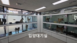창원시동물보호센터