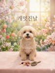 개멋진날