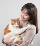 고양이미용실 나른하냥
