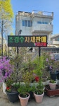 금잔디농원