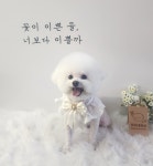 땡자네묭실