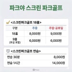 대림스크린골프