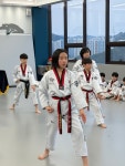 금송태권도장