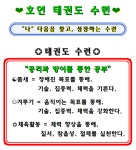호연태권도