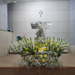 푸른숲교회