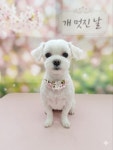 개멋진날