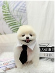 올리스24 일산백석점