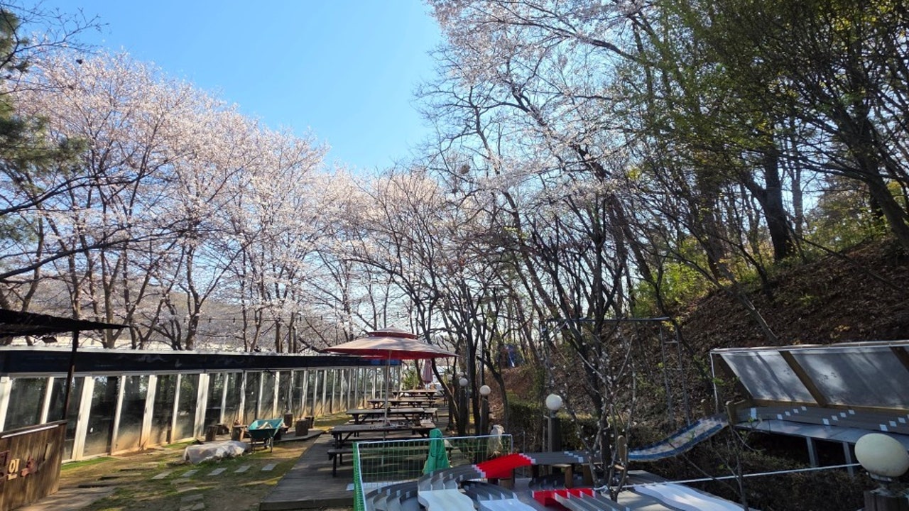 고기굽는 풍경