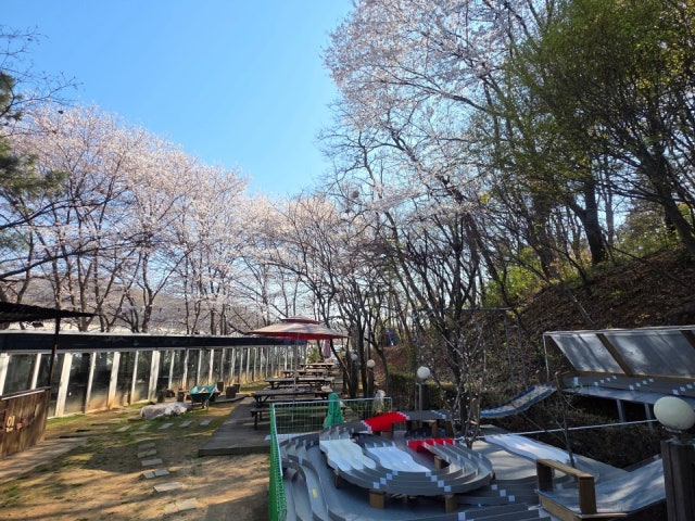 고기굽는 풍경