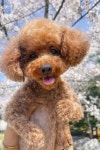 멍데이유치원